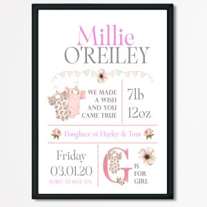 Personalised Baby Girl Birth Stats a4 Print