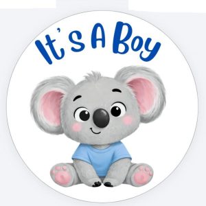 It's a Boy Stickers